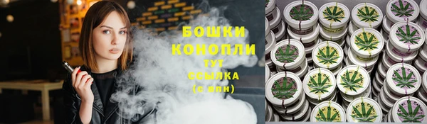 амф Новозыбков