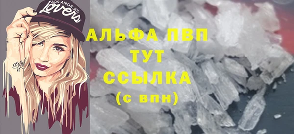 стафф Новокубанск