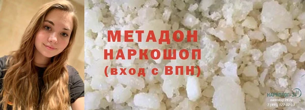 индика Новодвинск