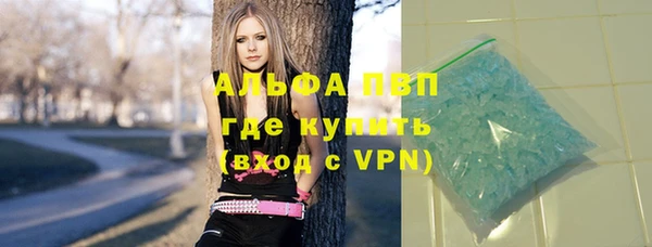 индика Новодвинск
