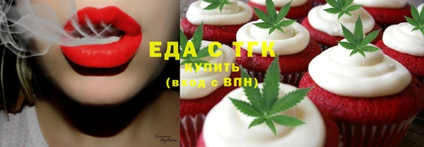 амф Новозыбков