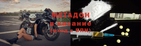 индика Новодвинск