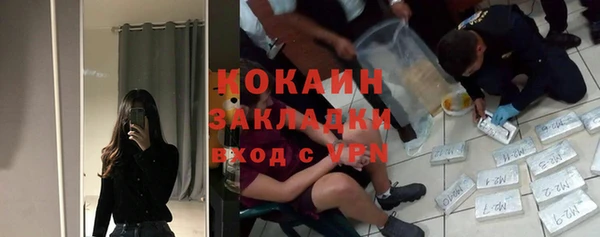 амф Новозыбков