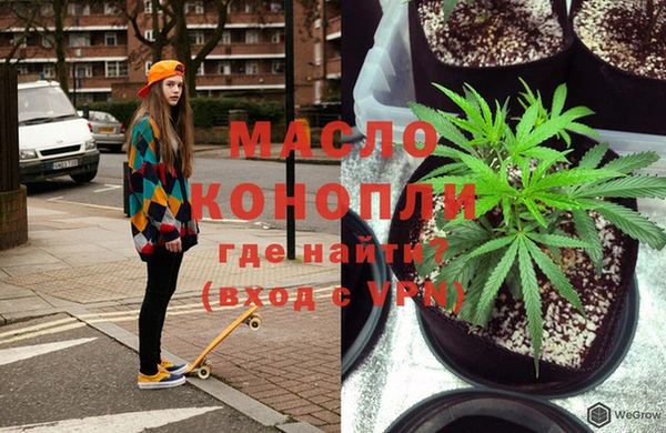 индика Новодвинск