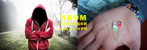 индика Новодвинск
