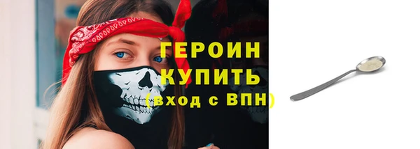 индика Новодвинск