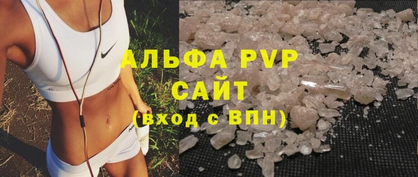 стафф Новокубанск