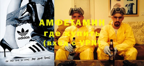 амф Новозыбков