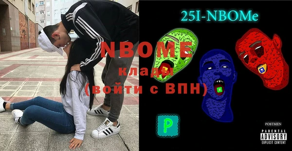 индика Новодвинск