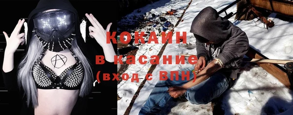 индика Новодвинск