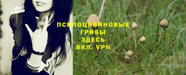 стафф Новокубанск