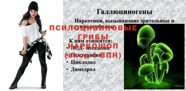 индика Новодвинск