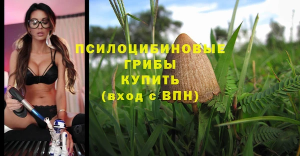 стафф Новокубанск