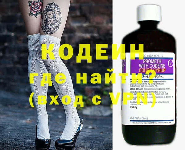 индика Новодвинск