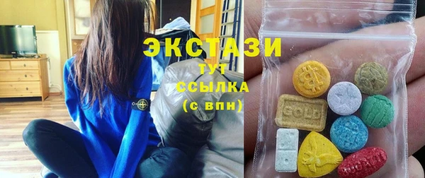 индика Новодвинск