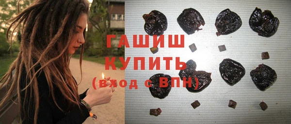 индика Новодвинск