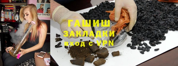 индика Новодвинск