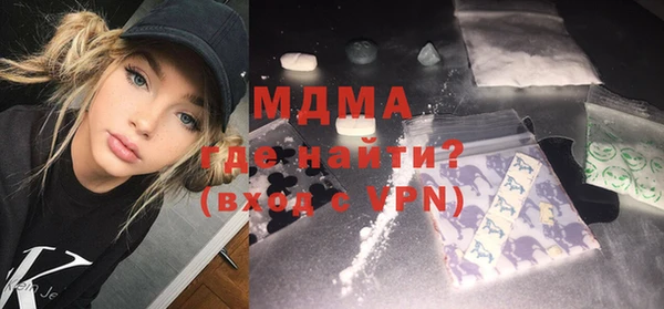 индика Новодвинск