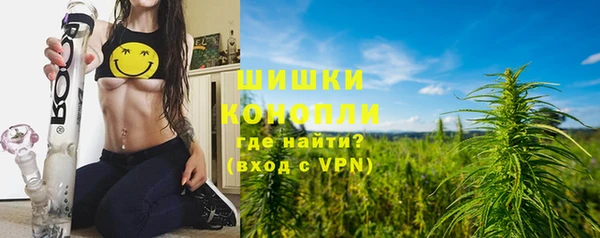 индика Новодвинск