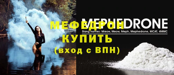 индика Новодвинск