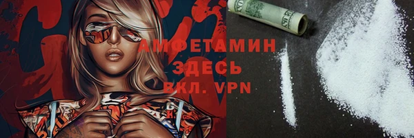 амф Новозыбков