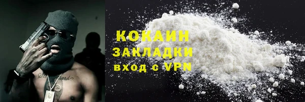 индика Новодвинск