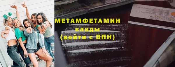 индика Новодвинск