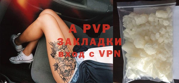 амф Новозыбков