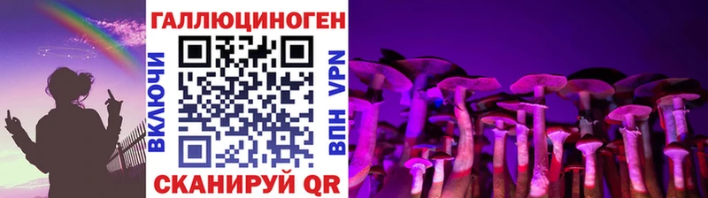 Псилоцибиновые грибы GOLDEN TEACHER Купить закладки Гаджиево